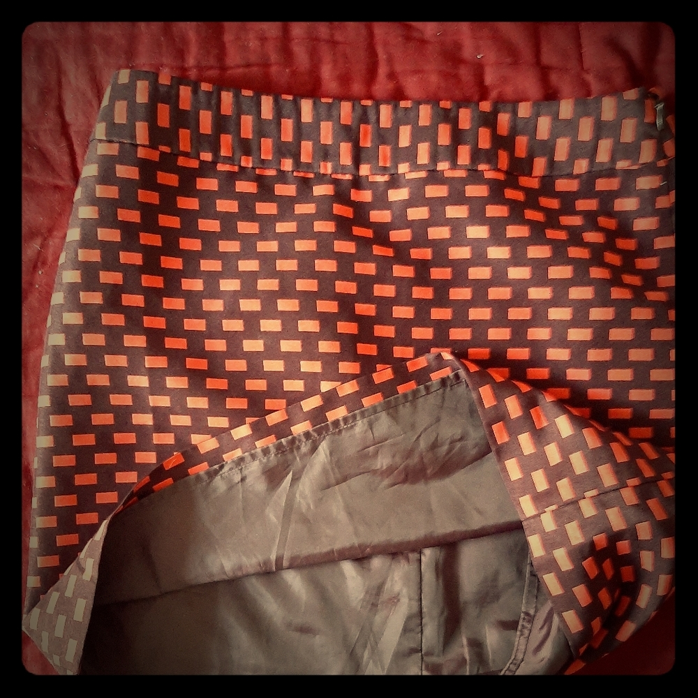 Ann Taylor Skirt 6